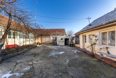 Gospodarie autentică bănățeană, cu teren generos și livadă – Frumușeni - 3
