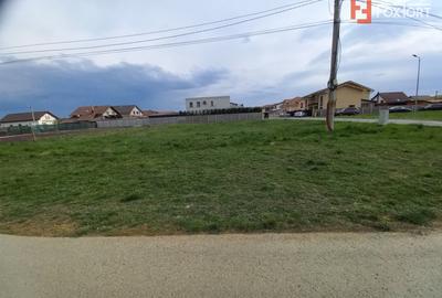 Teren Construcții intravilan de 698 mp, în Ghiroda