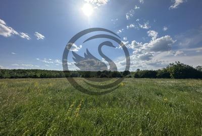 Teren Vanzare 11.000 MP Ghirdoveni | Comision 0% - 9