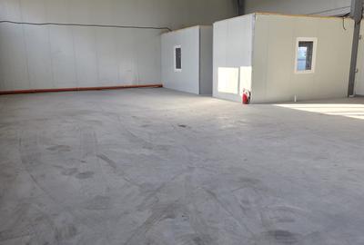 Hala Industriala  - Pantelimon - Cernica , teren 1200 p , 480 depozit , 45 birou - 9