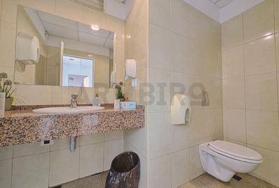 Zero comision, 260mp birouri cu depozitare, Victoriei, 7' metrou - 10