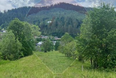Teren 6,865mp Voroneț / Gura Humorului / Bucovina - 22