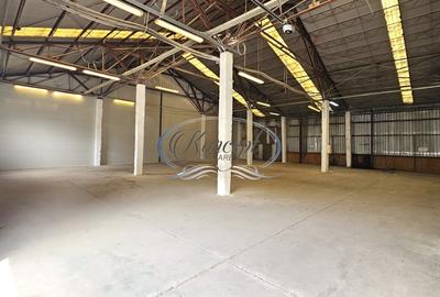 Hale 200-400-1.000 mp, productie, depozitare, logistica - 11