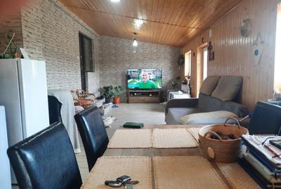 FARA COMISION casa 4 camere 2 bucatarii 2 puturi beci livada 1500mp SAU 3300mp - 29