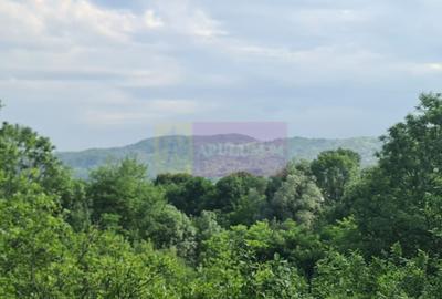 Vila de vanzare cu 6 camere in Cornu (teren 6.600 mp) - 3