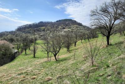 TEREN INTRAVILAN 13700 MP, INURI, VINTU DE JOS - 1