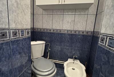 Apartament 2 camere RENOVAT Unirii-Parcul Carol M261A - 21