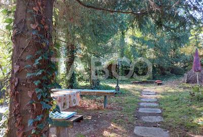 Casa de vanzare cu 2 apartamente separate si teren 544 mp Cisnadioara - 26