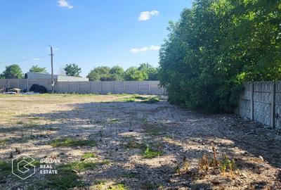 Teren  in Chisoda - 1