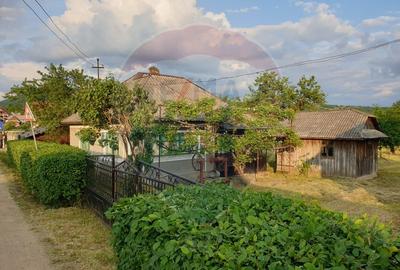 Casă individuală cu 3 camere în Cernești