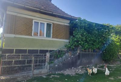 Vanzare casa sat Asinip, comuna Lopadea Noua, jud Alba, la 15km de Aiud - 1