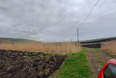 Teren agricol pentru investitii, zona Valea Calda -Iris - 4