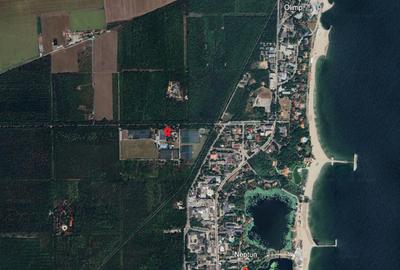 Neptun - Teren construibil in Padurea Comorava - 4