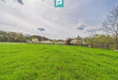 Teren intravilan, 820 mp, Pădure Giroc - 2