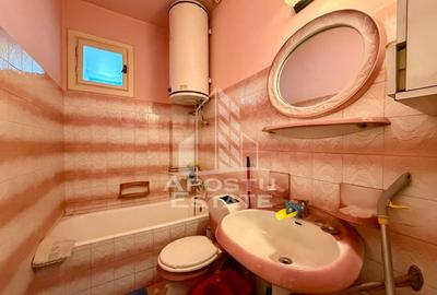 Apartament cu 4 camere de inchiriat, zona Bogdanestilor, Timisoara - 17
