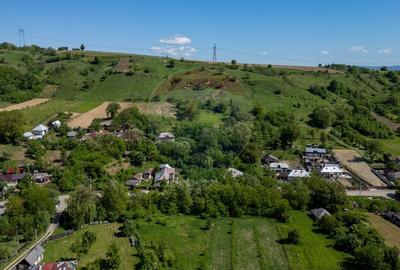 Teren de vanzare -Parava - DRAGUSANI - 4