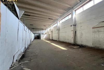 Hala, spatiu 780 mp, Padel, depozitare, productie, curierat - 4