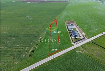 Teren Construcții intravilan de 5000 mp, în Cernica