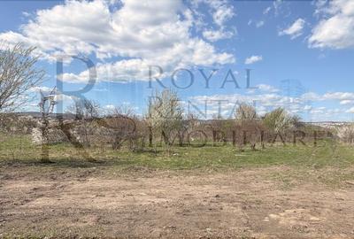 Teren situat în Sopor 5800 mp | Intravilan | Iulius Mall - 4
