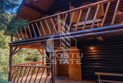 Pensiune, casa de vacanta, 6 camere, statiunea Rausor din Hunedoara - 30