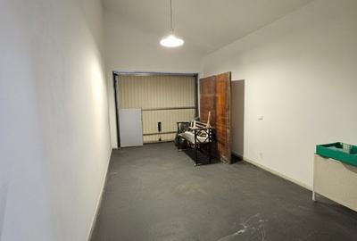 SUPER OFERTA PASCALA -VANZARE VILA  IANCU NICOLAE - 17