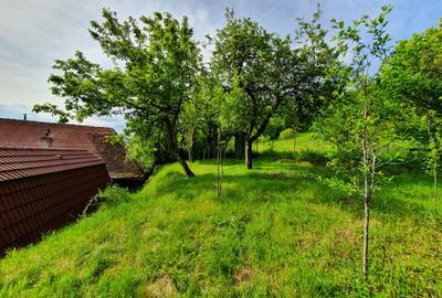 Vind vila in satul ROD- Pe drumul TRANSALPINA - 4