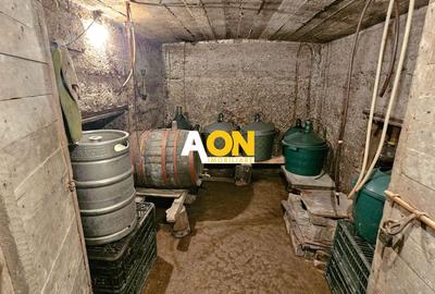 Casă batranească, 3 camere, 2200 mp teren, sat Bucerdea Grânoasă - 16