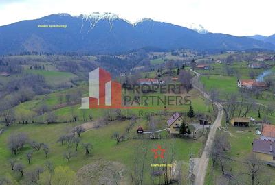 TEREN 2.495 MP | BRAN – SOHODOL | VEDERE PANORAMICĂ SPRE BUCEGI - 8