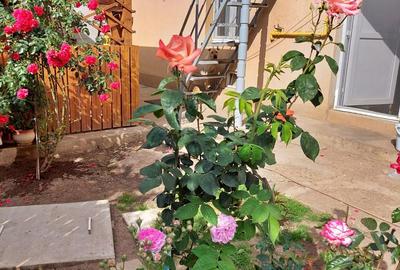 Casă de vânzare în zona Militari,la doar 10 minute de metrou Gorjulu! - 1