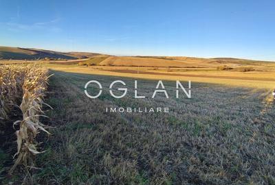 Teren intravilan cu PUZ pentru investitie - 49€/mp - Sura Mare - 7