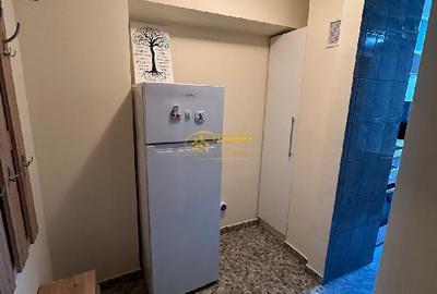 Garsoniera, Pacurari. - 3