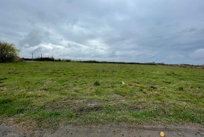 De vanzare 2 Ha la Ianova - 1