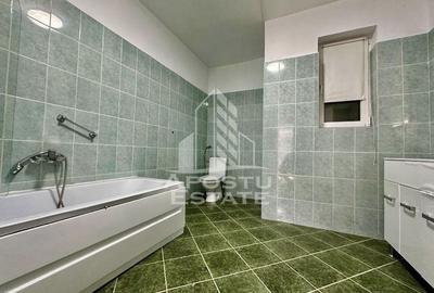 Casa individuală 7 camere de inchiriat , Balcescu-Timisoara - 11