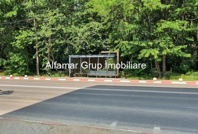 Garsoniere si apartamente noi Colentina- Andronache - 10