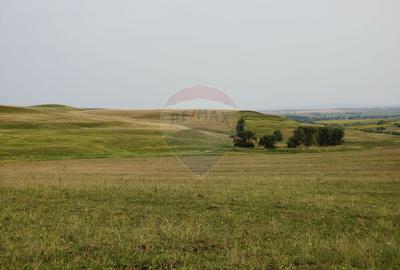 Teren parțial intravilan-300000mp Stroiești-Trei Movile, Suceava - 5