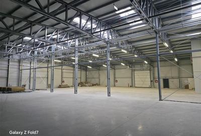 Vanzare depozit/hala/spatiu industrial Mogosoaia - Buftea - 18