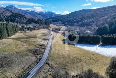 Teren extravilan 19.200 mp – DN1A Săcele, Brădet | Front stradal 130 ml - 14