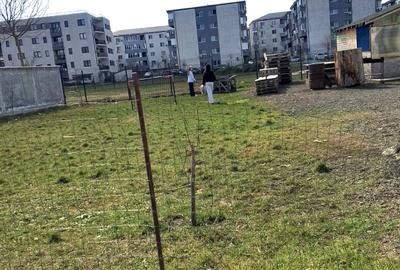 Vanzare Vila plus 100 mp Teren - 33
