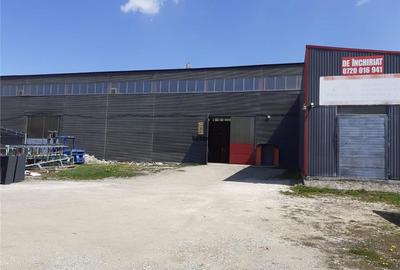 Spatiu Industrial - 3600 mp - Productie - Depozitare - Distributie - 8