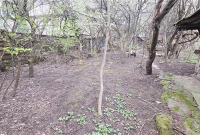 CASA 136 MP TEREN 561 MP FRONT 14 ML ZORILOR  MARINESCU - 7