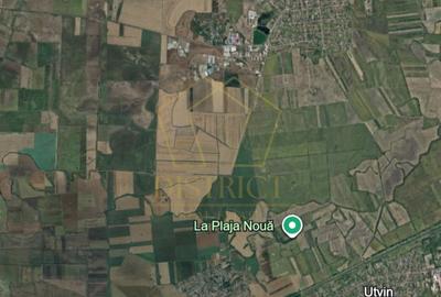 Teren extravilan pretabil P.U.Z. industrial | Sacalaz - Sanmihaiu Roman - 1