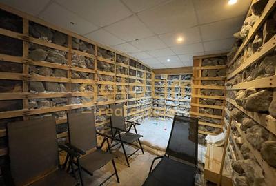 VILĂ EXCLUSIVISTĂ/PISCINĂ INTERIOARĂ/CARTIER PRIVAT/ PĂULEȘTI - 32