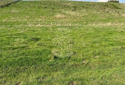 Teren 3300 mp-investitie, case de vacanta, agricultura-Valea Sigmirului - 3