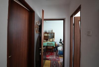 Apartament 4 camere Giugiului, Parc Tineteretului - 9