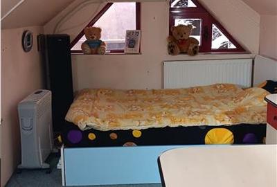 Ocazie! Barnova str Principala Vila P+1+M 225mp Teren 600mp amenajat - 19