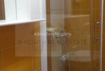 Apartament 4 camere de închiriat, 120 mp, vilă, ideal sediu firmă - 8