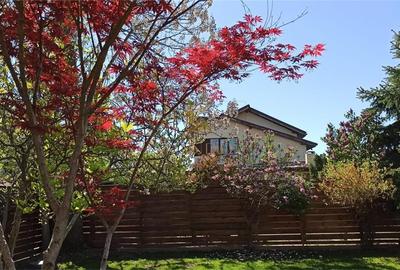 Rafinament clasic completat de confort modern - 4