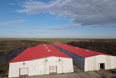 Hale depozit-productie industriala la 20 km de TM - 12