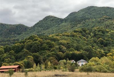 Casa moderna in mijlocul naturii cu lac, Cheisoara - 2