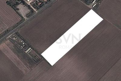 REL4001297 Teren Intravilan - Dascalu - Gagu - 4